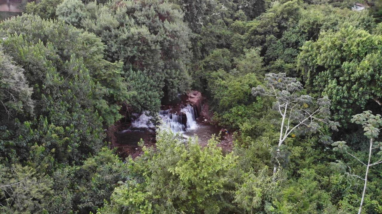 Cachoeira dos pássaros Foz do Iguaçu Exterior foto